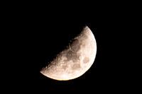 Moon Nov 24